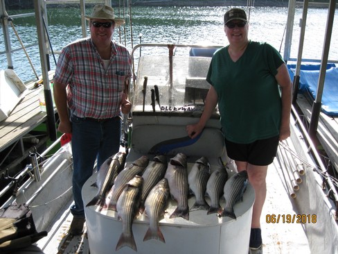 Nice Striped Bass